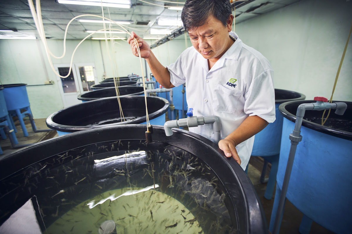 Man examining at aquaculture hatchery 1140 V2 2022 11 lores