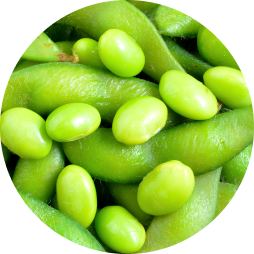 green legumes