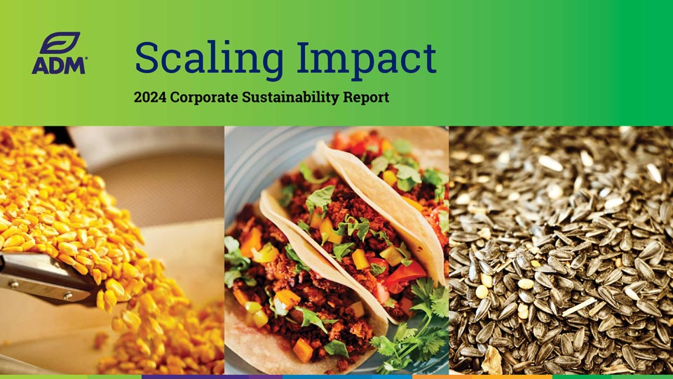 2024 corporate sustainability report cover