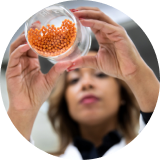 woman looking at jar of seeds