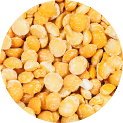 Dry beans