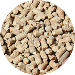 A close up cattle feed pellets