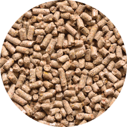 A close up of feed pellets