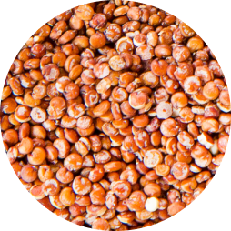 A pattern made of Nuts