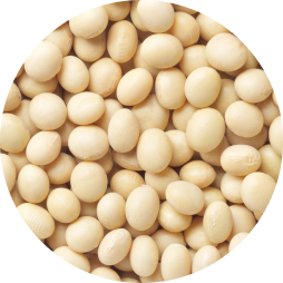 sp flours c7 texture L