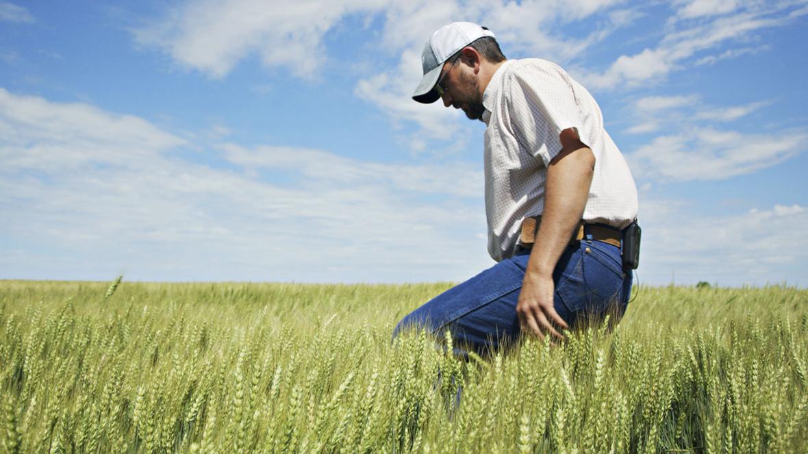 Man walking thru wheat field 19ADL026 CraigPoore V8.00 02 39 27905.Still007 2021 12 v1 lores